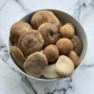 Picture for category Mushrooms