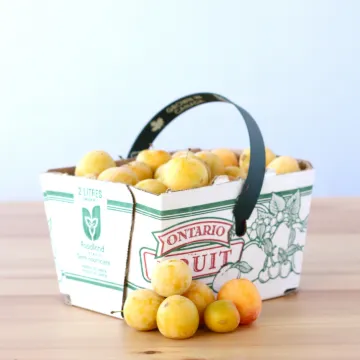 Plums Early Golden Small (2L)
