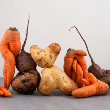 Picture for category Vegetable Seconds (#2 Grade)