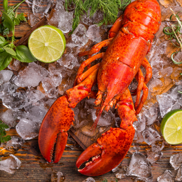 Picture for category Lobster