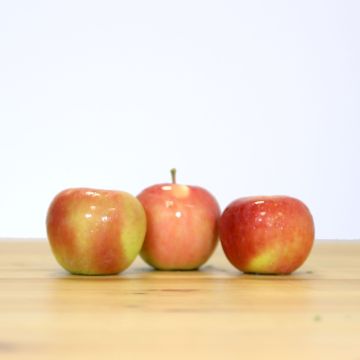 Picture of Apples Fuji Conventional SMALL 90/100ct