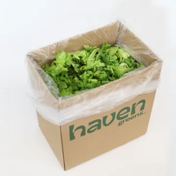 Picture of Greens Baby Green Leaf Foodservice 3lb