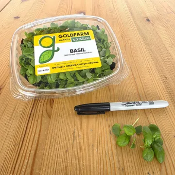 Microgreens Genovese Basil 16oz